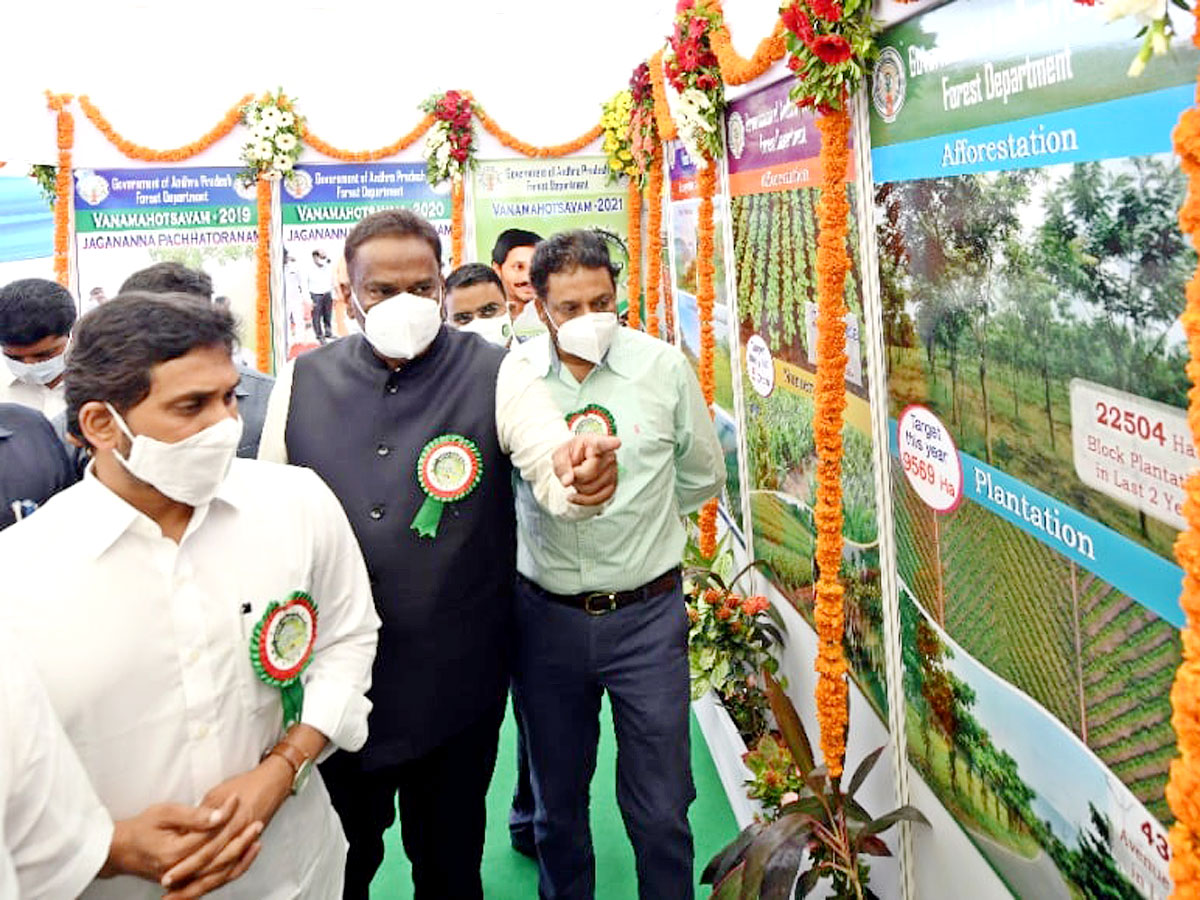 CM YS Jagan Inaugurates Vana Mahotsavam 2021 In Mangalagiri Photo Gallery - Sakshi8