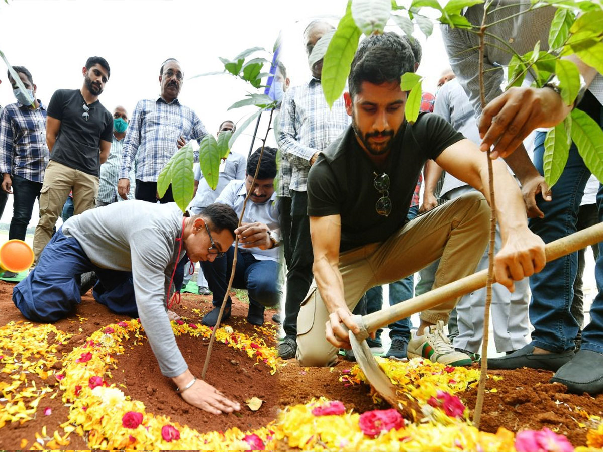 Aamir Khan and Akkineni Naga Chaitanya Participated in Green India Challenge Photo Gallery - Sakshi1