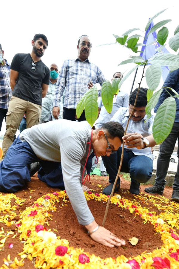 Aamir Khan and Akkineni Naga Chaitanya Participated in Green India Challenge Photo Gallery - Sakshi10