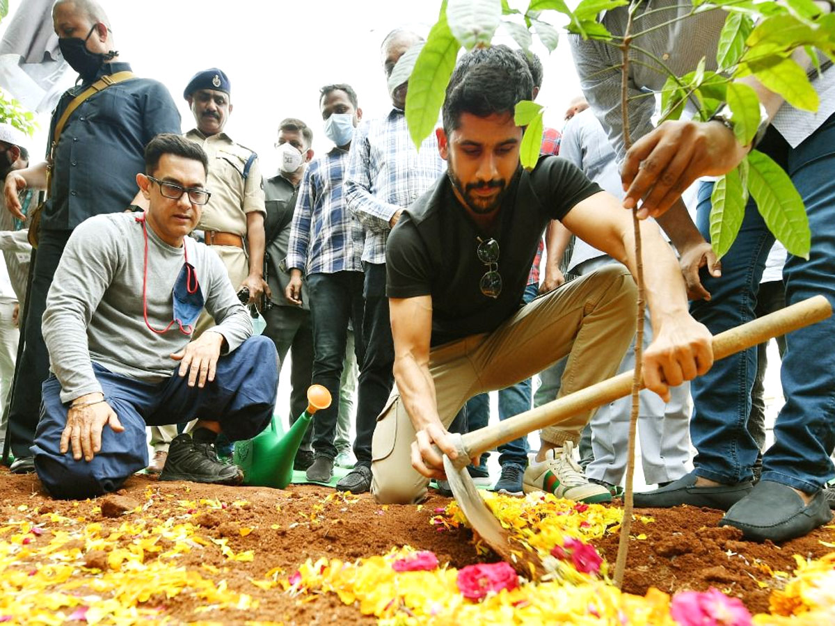 Aamir Khan and Akkineni Naga Chaitanya Participated in Green India Challenge Photo Gallery - Sakshi2