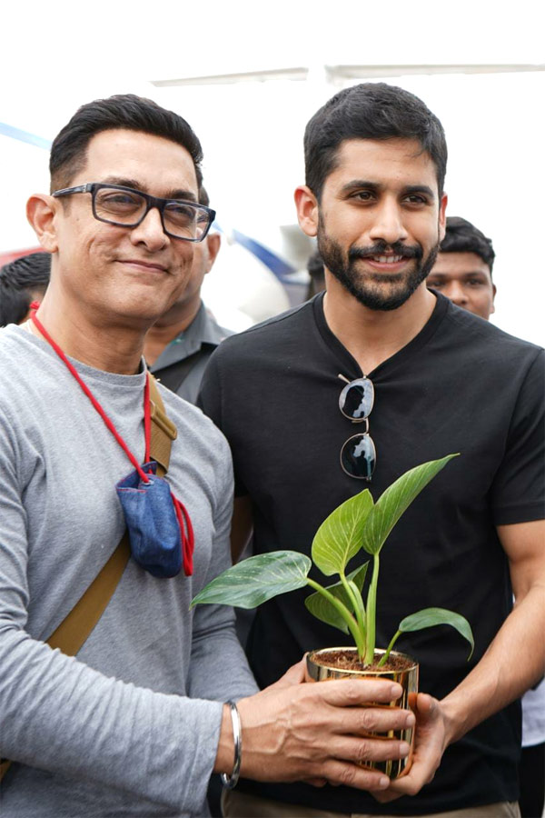 Aamir Khan and Akkineni Naga Chaitanya Participated in Green India Challenge Photo Gallery - Sakshi8