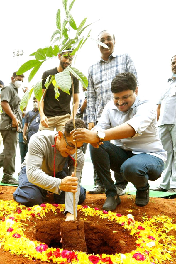 Aamir Khan and Akkineni Naga Chaitanya Participated in Green India Challenge Photo Gallery - Sakshi9