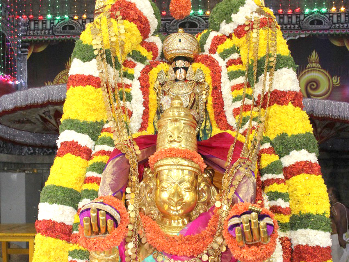 Tirumala Pournami Garuda Seva Photos - Sakshi7