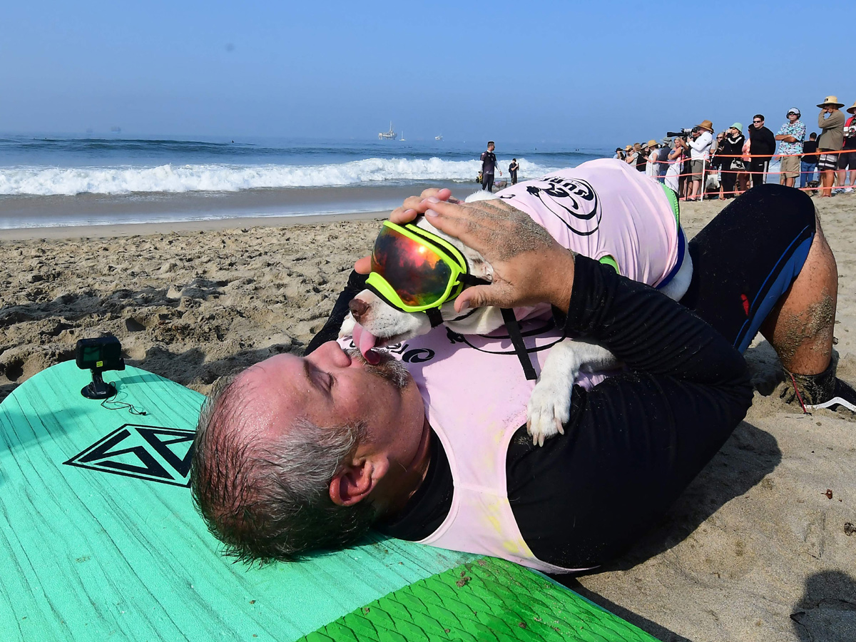 Surf City Surf Dog in Huntington Beach - Sakshi17