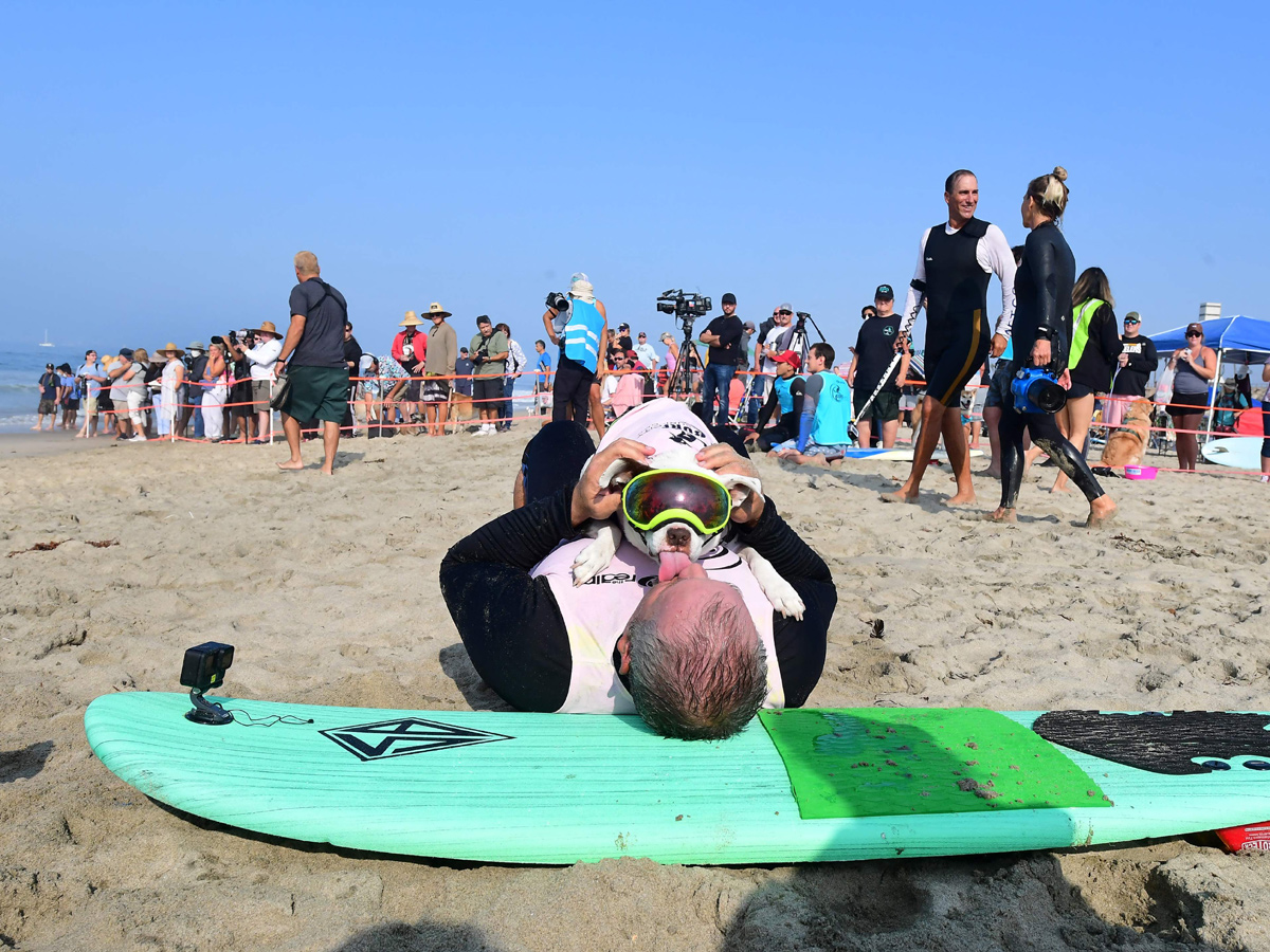 Surf City Surf Dog in Huntington Beach - Sakshi18