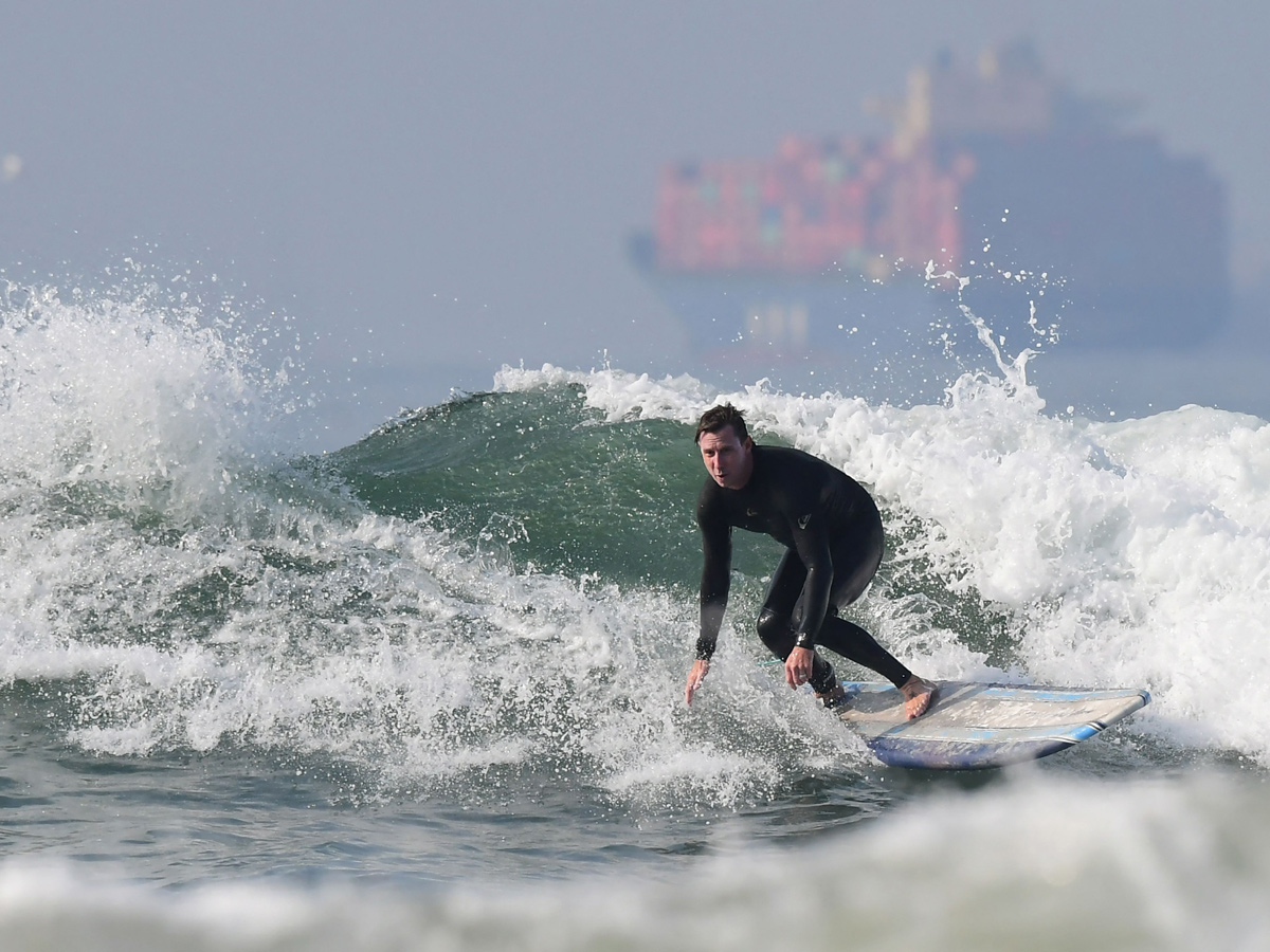 Surf City Surf Dog in Huntington Beach - Sakshi20