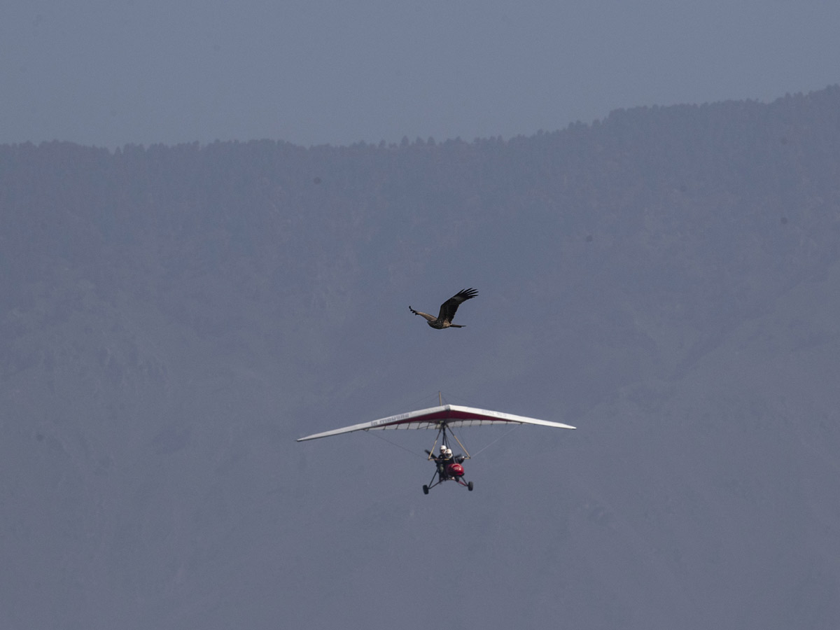 Indian Air Force to conduct air show at Dal Lake in Srinagar Photo Gallery - Sakshi4