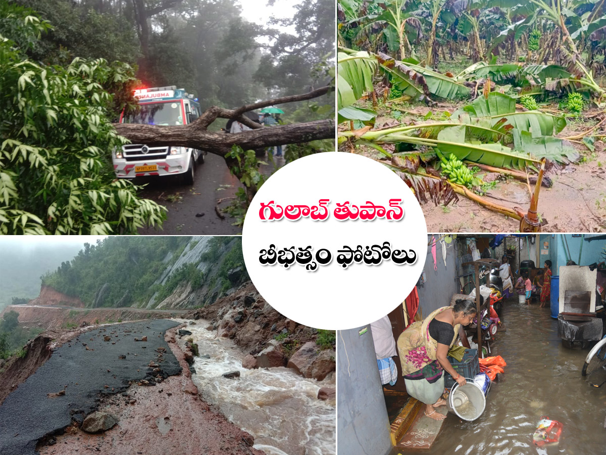 Cyclone Gulab Effect Photos - Sakshi1