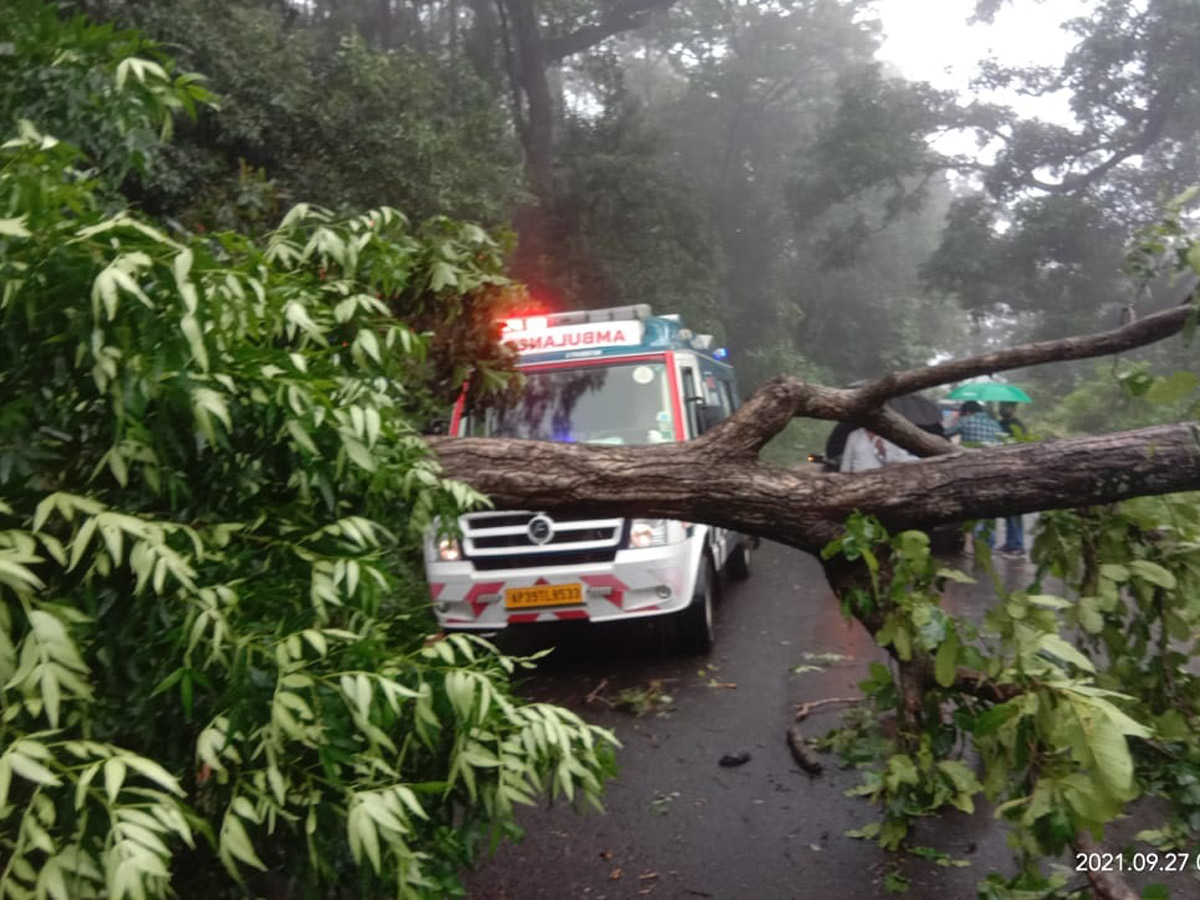 Cyclone Gulab Effect Photos - Sakshi2