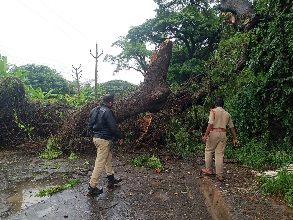 Cyclone Gulab Effect Photos - Sakshi21