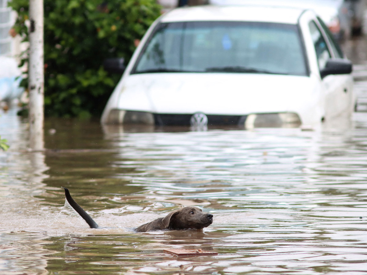 Heavy rains in Mexico Photo Gallery - Sakshi2