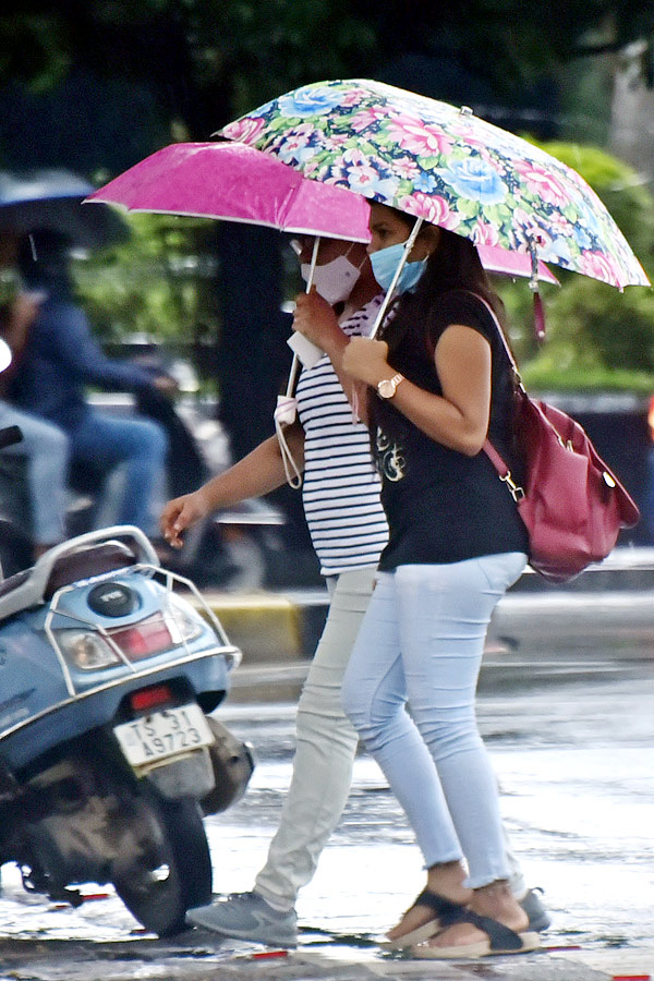 Heavy Rain in Telugu States Photo Gallery - Sakshi29