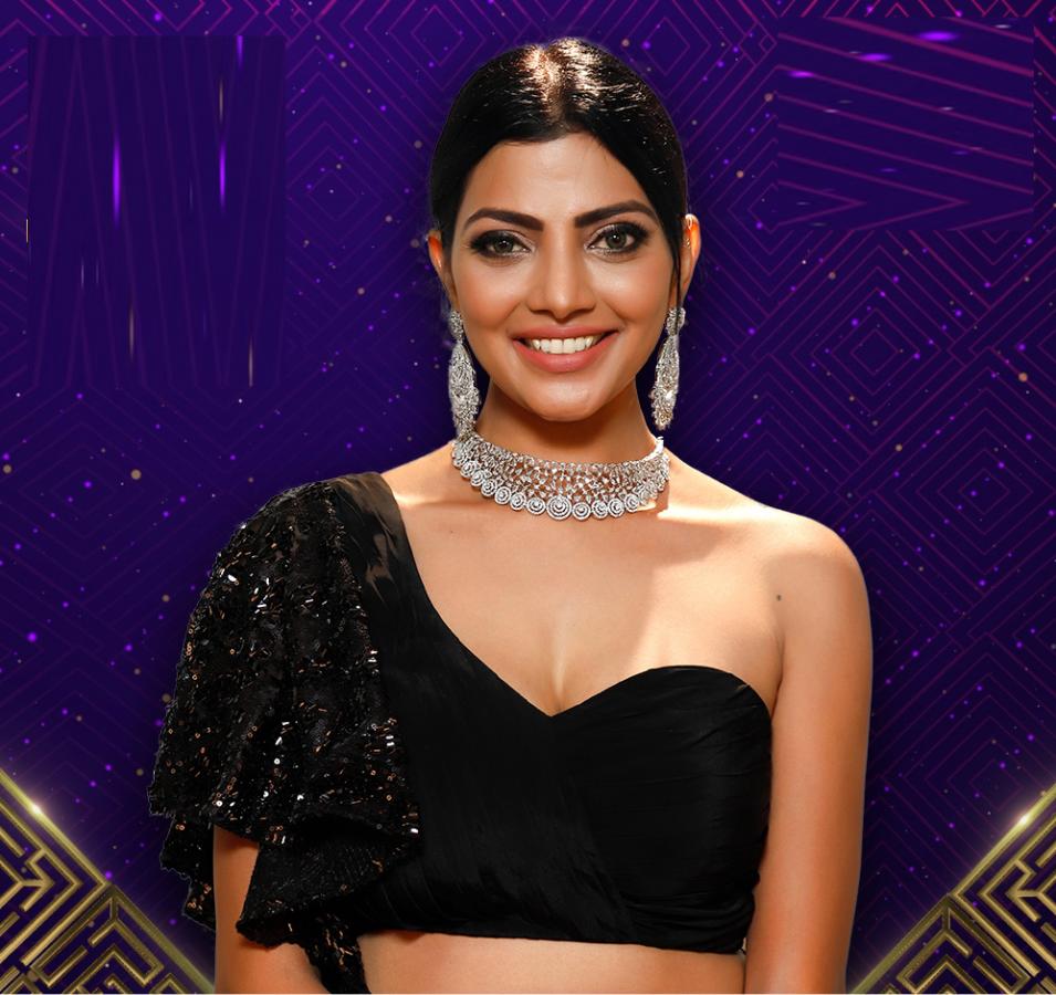 Bigg Boss Telugu5 Contestants  - Sakshi17