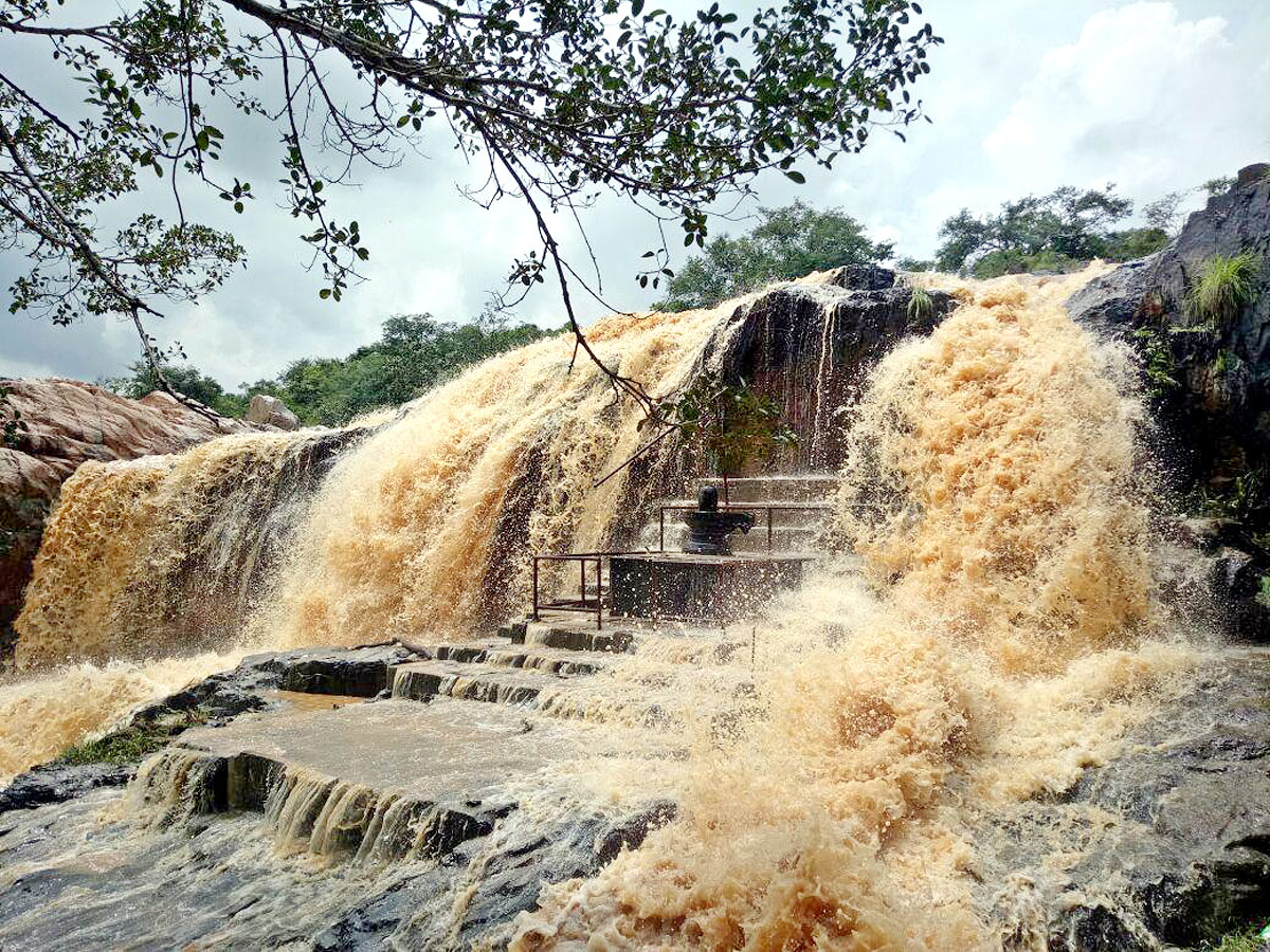 Heavy Rains in Andhra Pradesh Photo Gallery - Sakshi2