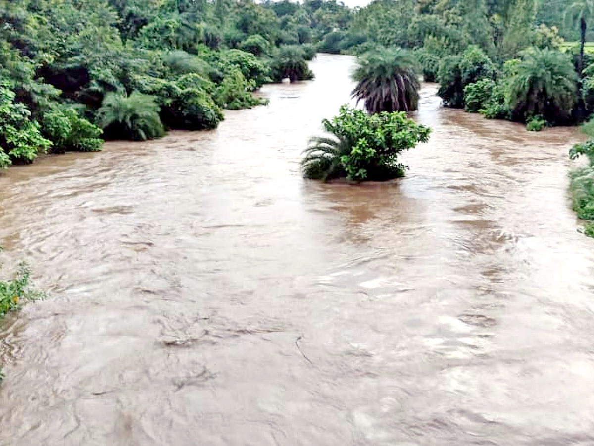 Heavy Rains in Andhra Pradesh Photo Gallery - Sakshi22