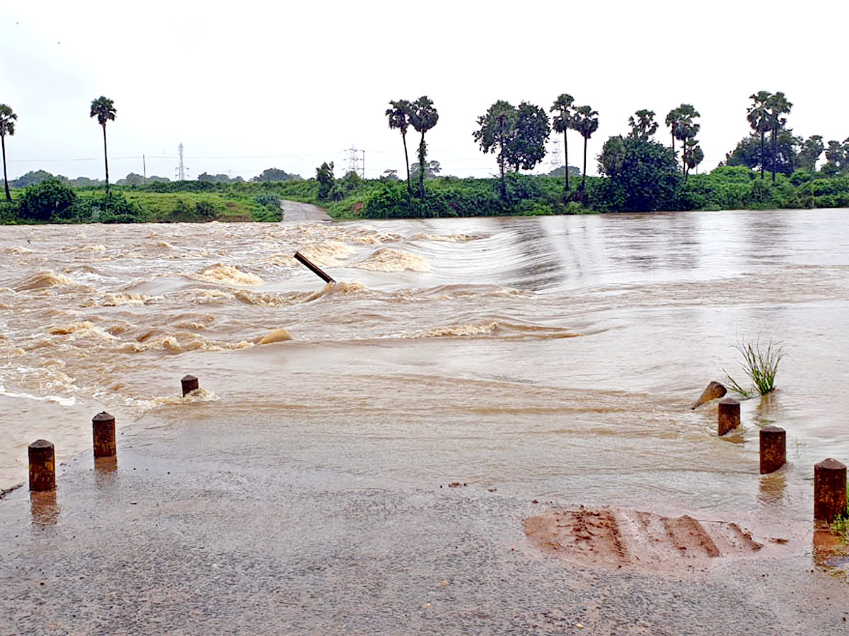 Heavy Rains Telangana Photo Gallery - Sakshi1