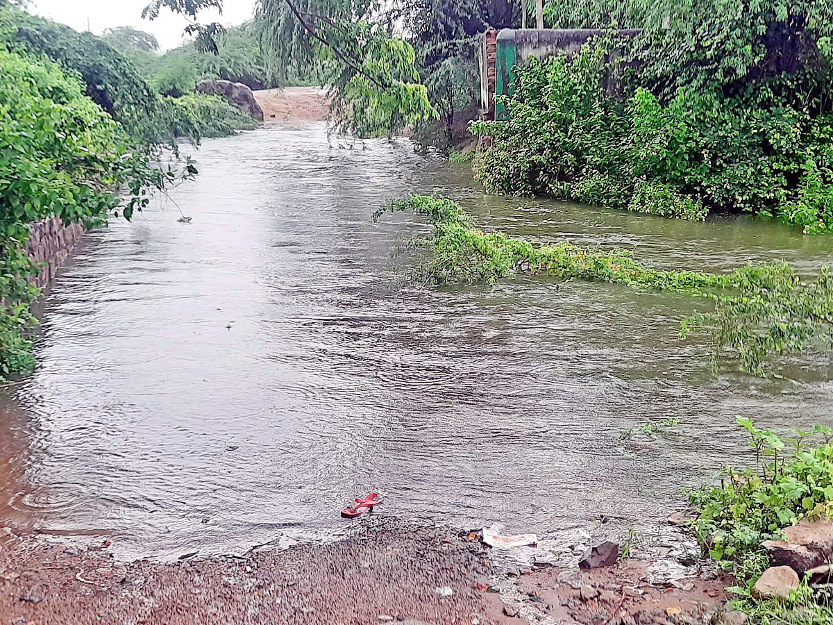 Heavy Rains Telangana Photo Gallery - Sakshi19