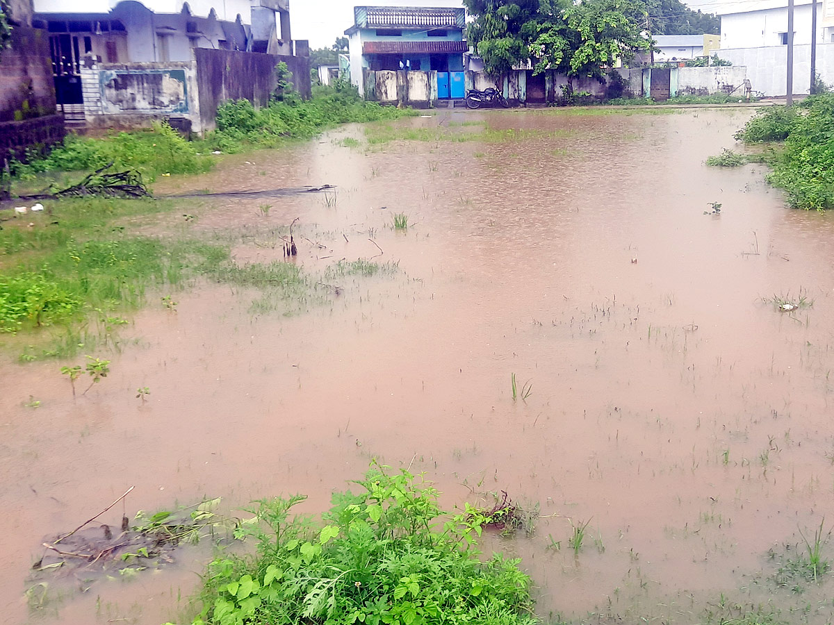 Heavy Rains Telangana Photo Gallery - Sakshi20