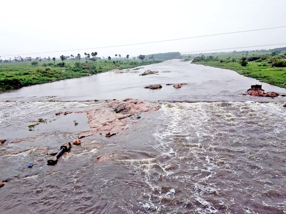 Heavy Rains Telangana Photo Gallery - Sakshi23