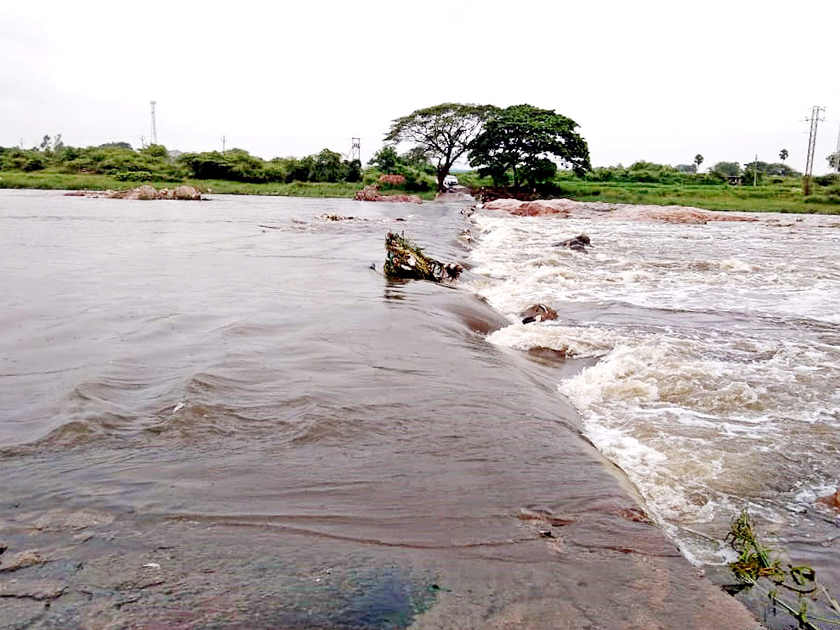 Heavy Rains Telangana Photo Gallery - Sakshi24