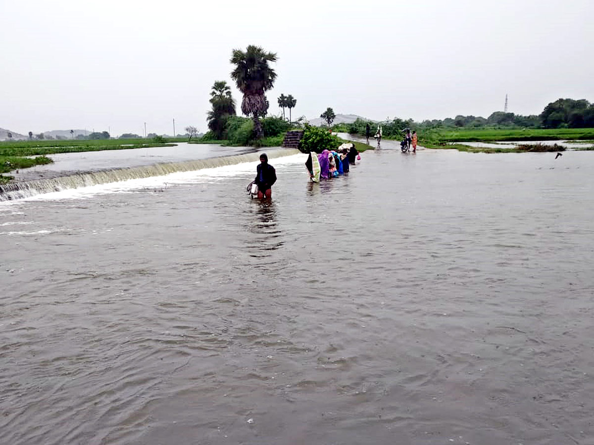 Heavy Rains Telangana Photo Gallery - Sakshi25