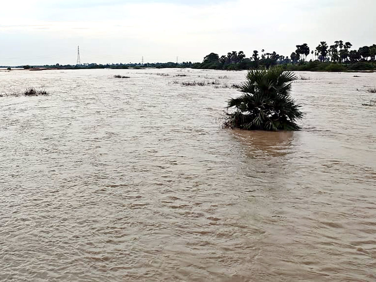 Heavy Rains Telangana Photo Gallery - Sakshi28