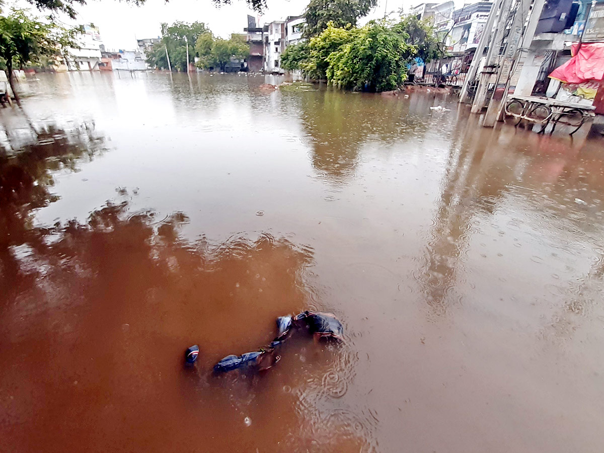 Heavy Rains Telangana Photo Gallery - Sakshi31