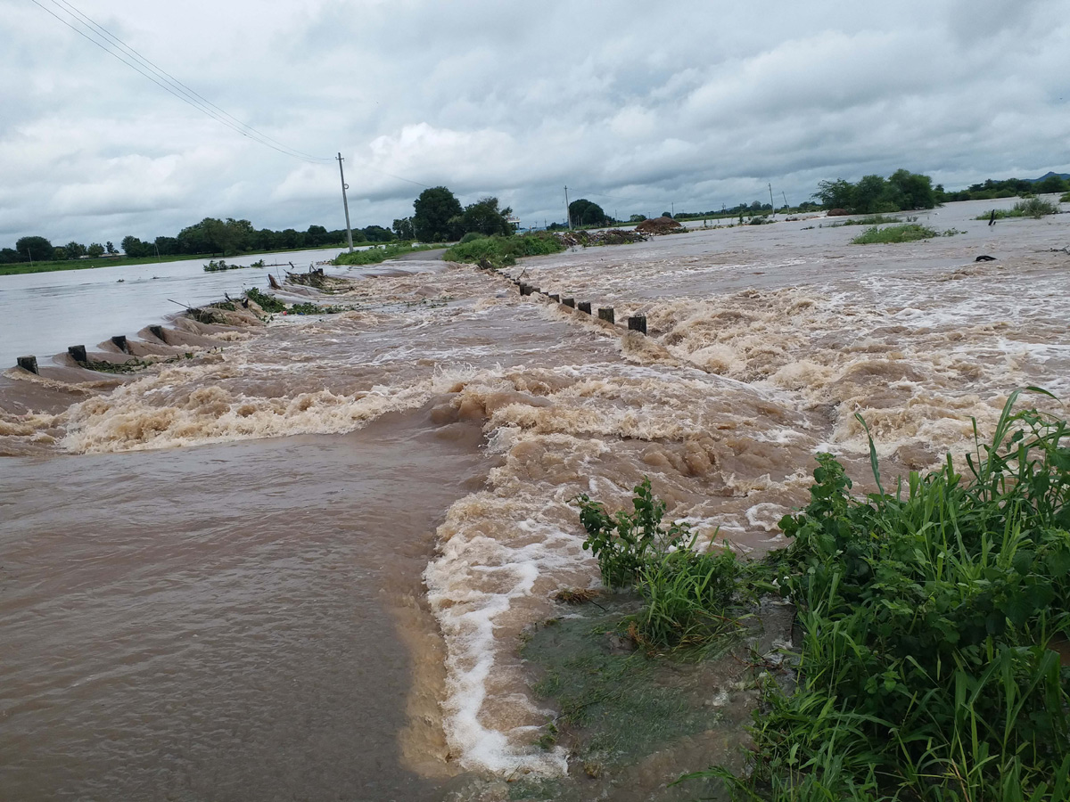 Heavy rains in Karimnagar Sircilla districts - Sakshi20