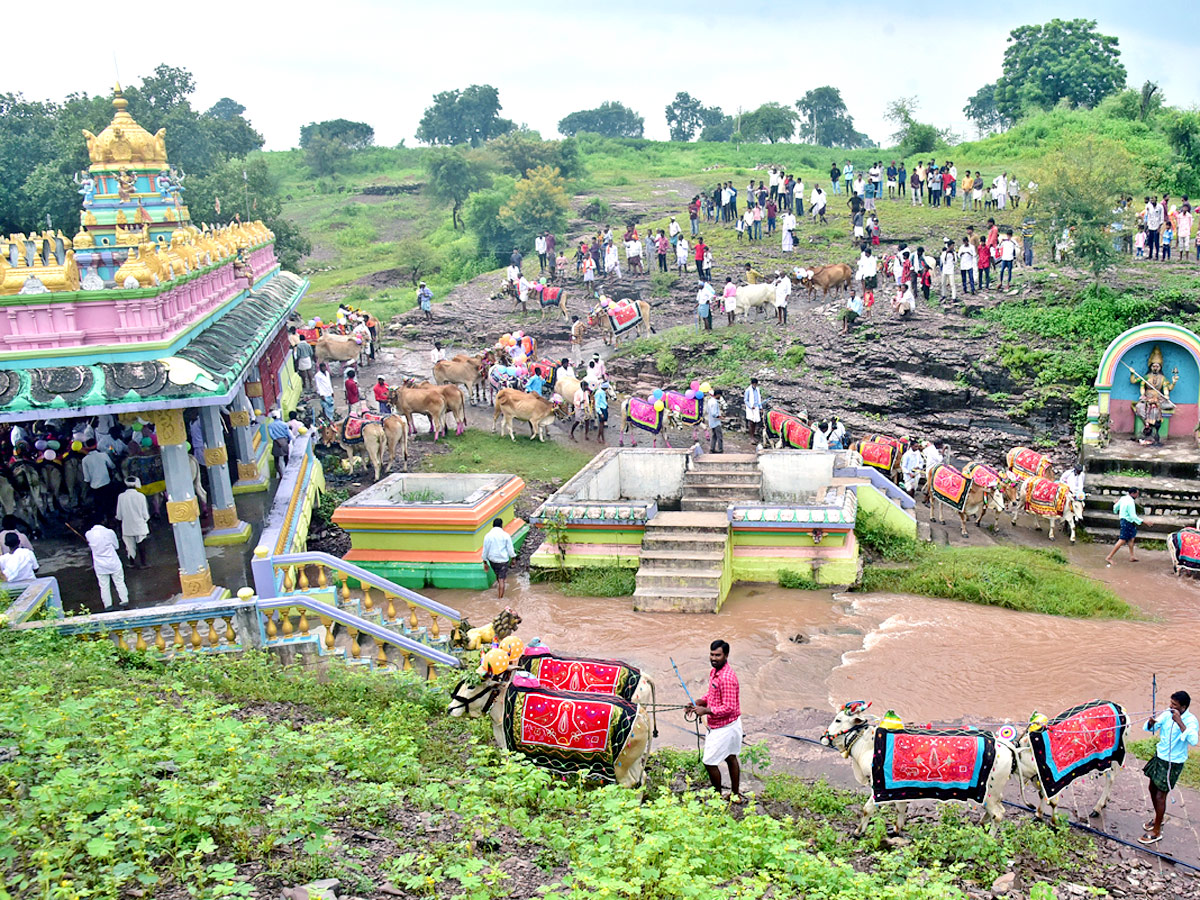 Polala Amavasya 2021: Celebrations Photo Gallery - Sakshi2