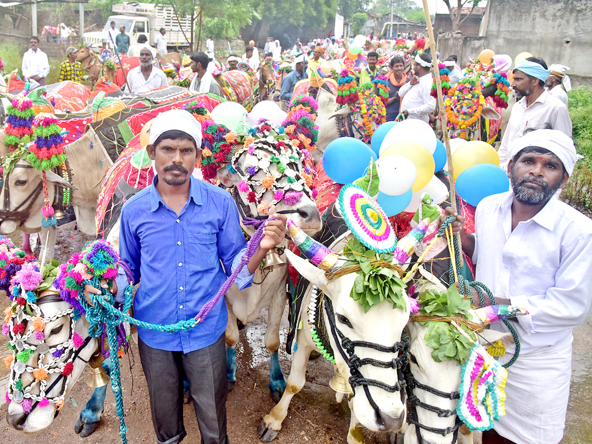 Polala Amavasya 2021: Celebrations Photo Gallery - Sakshi10