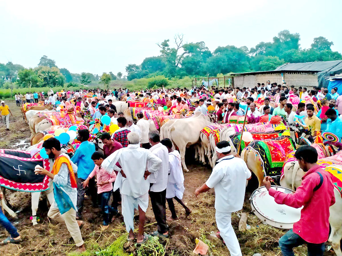 Polala Amavasya 2021: Celebrations Photo Gallery - Sakshi13