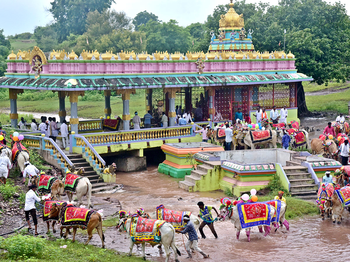 Polala Amavasya 2021: Celebrations Photo Gallery - Sakshi3