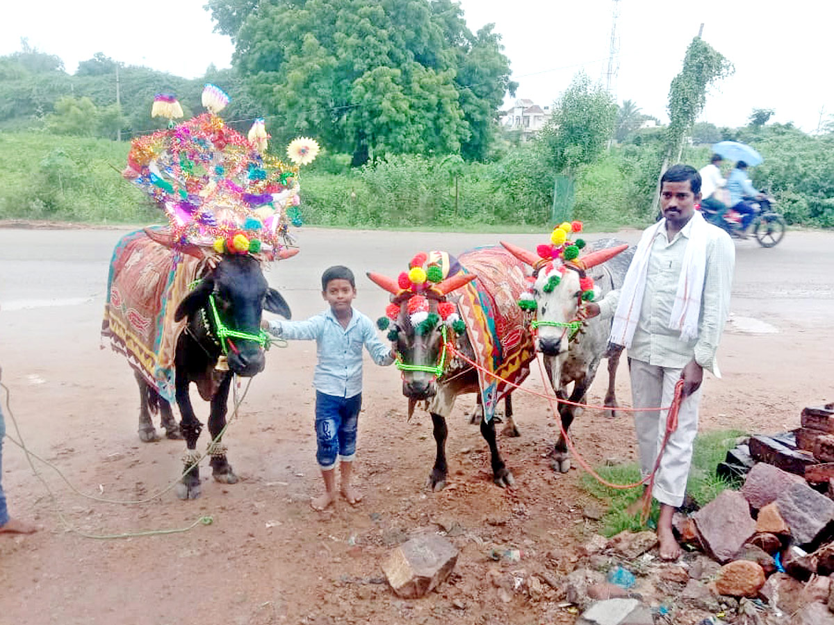 Polala Amavasya 2021: Celebrations Photo Gallery - Sakshi24