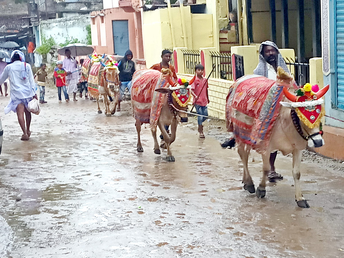 Polala Amavasya 2021: Celebrations Photo Gallery - Sakshi26