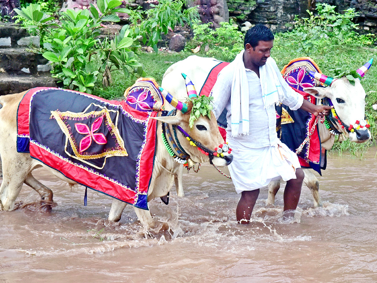 Polala Amavasya 2021: Celebrations Photo Gallery - Sakshi4