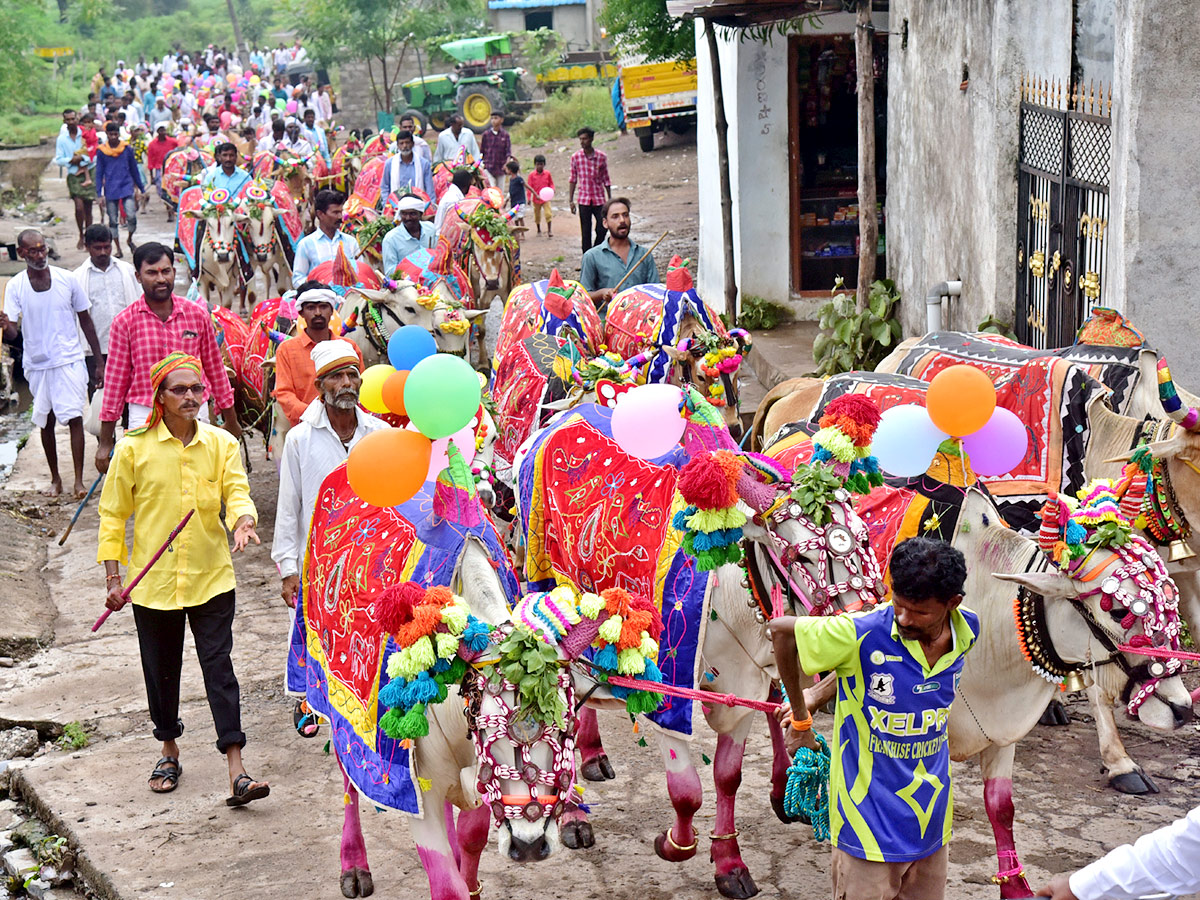 Polala Amavasya 2021: Celebrations Photo Gallery - Sakshi5