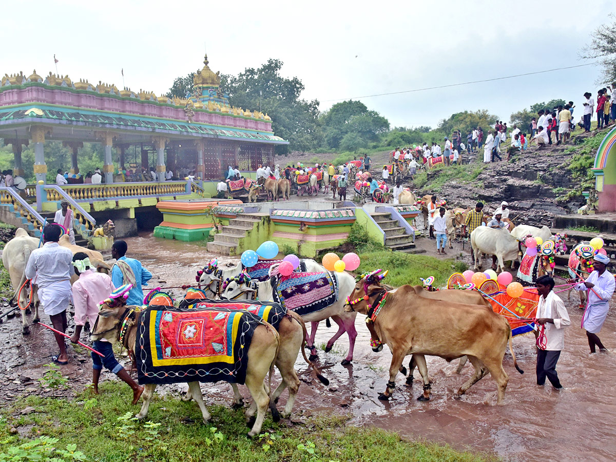 Polala Amavasya 2021: Celebrations Photo Gallery - Sakshi7