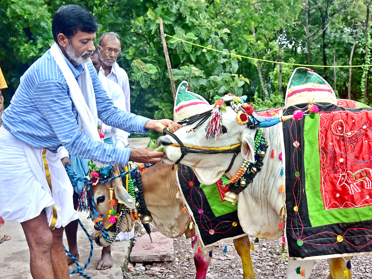 Polala Amavasya 2021: Celebrations Photo Gallery - Sakshi1