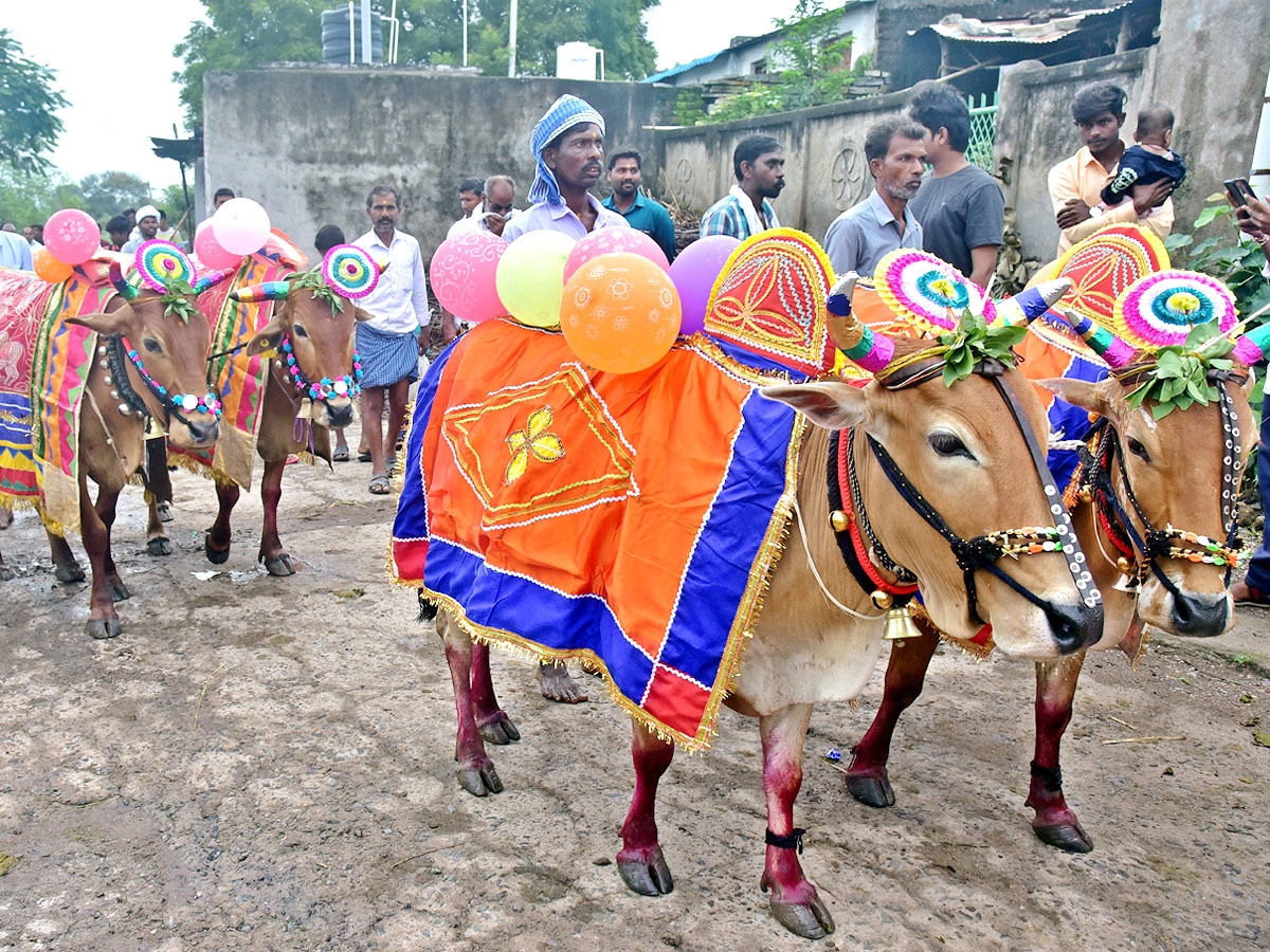 Polala Amavasya 2021: Celebrations Photo Gallery - Sakshi8