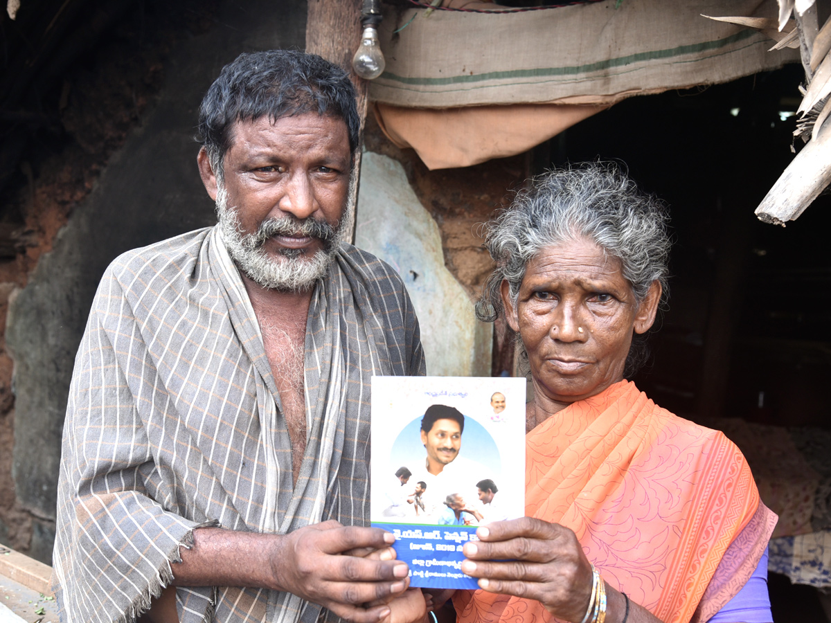 Distribution Of YSR Pension Kanuka Photo Gallery - Sakshi17