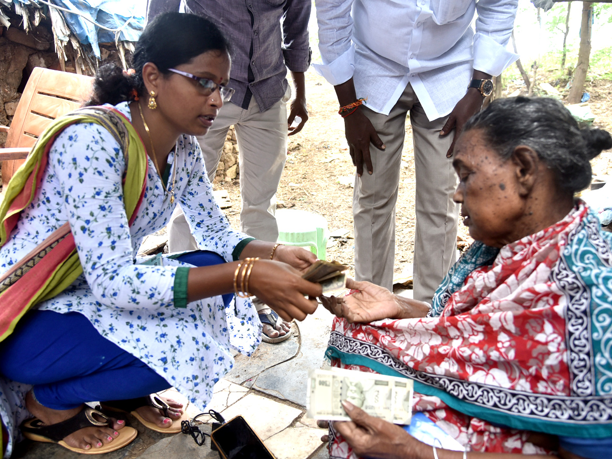 Distribution Of YSR Pension Kanuka Photo Gallery - Sakshi19