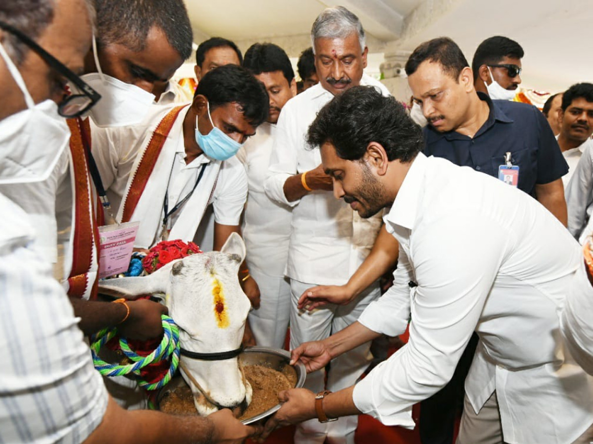 CM YS Jagan Mohan Reddy Visit Tirumala Temple Photo Gallery - Sakshi11