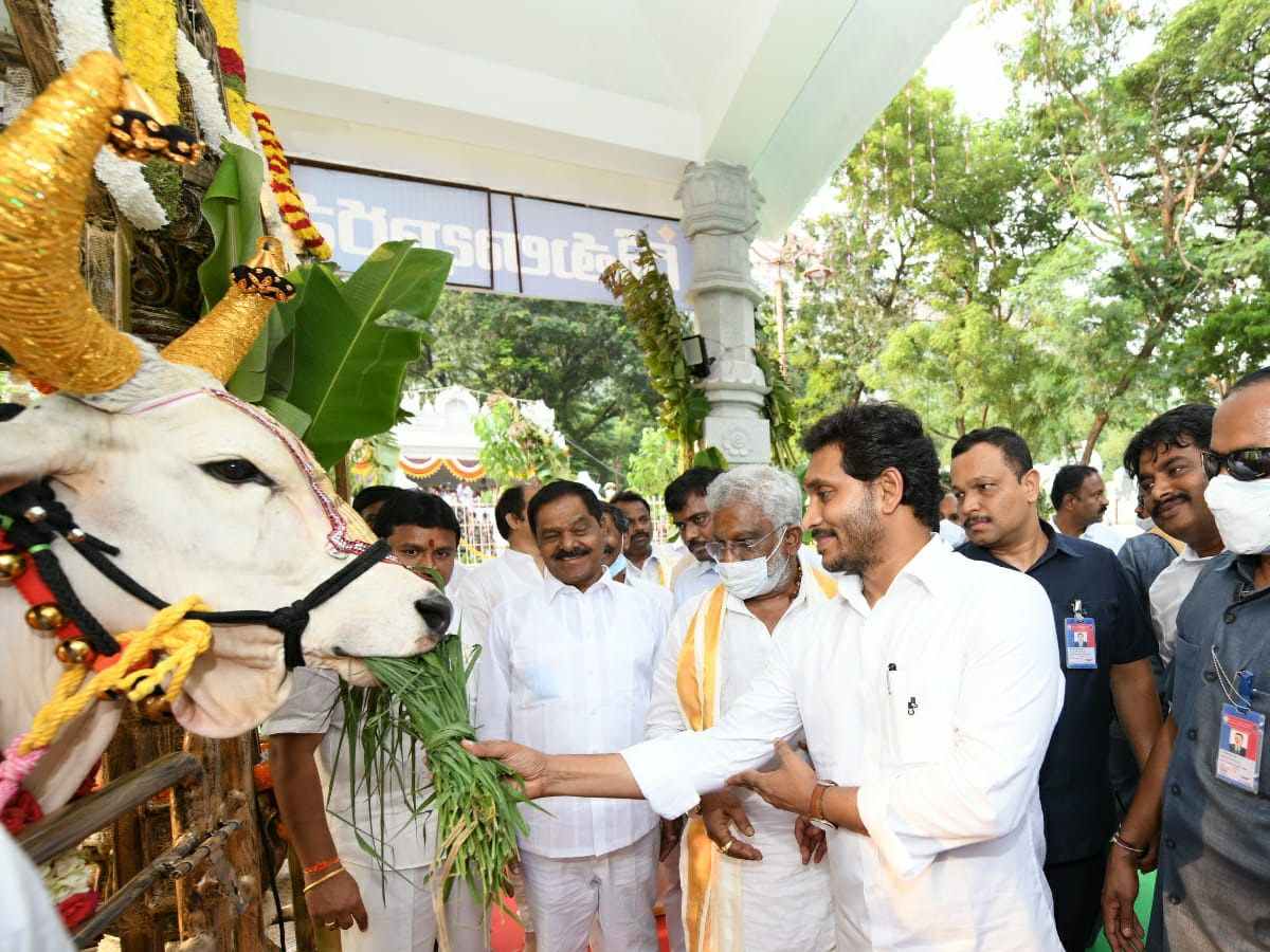 CM YS Jagan Mohan Reddy Visit Tirumala Temple Photo Gallery - Sakshi5