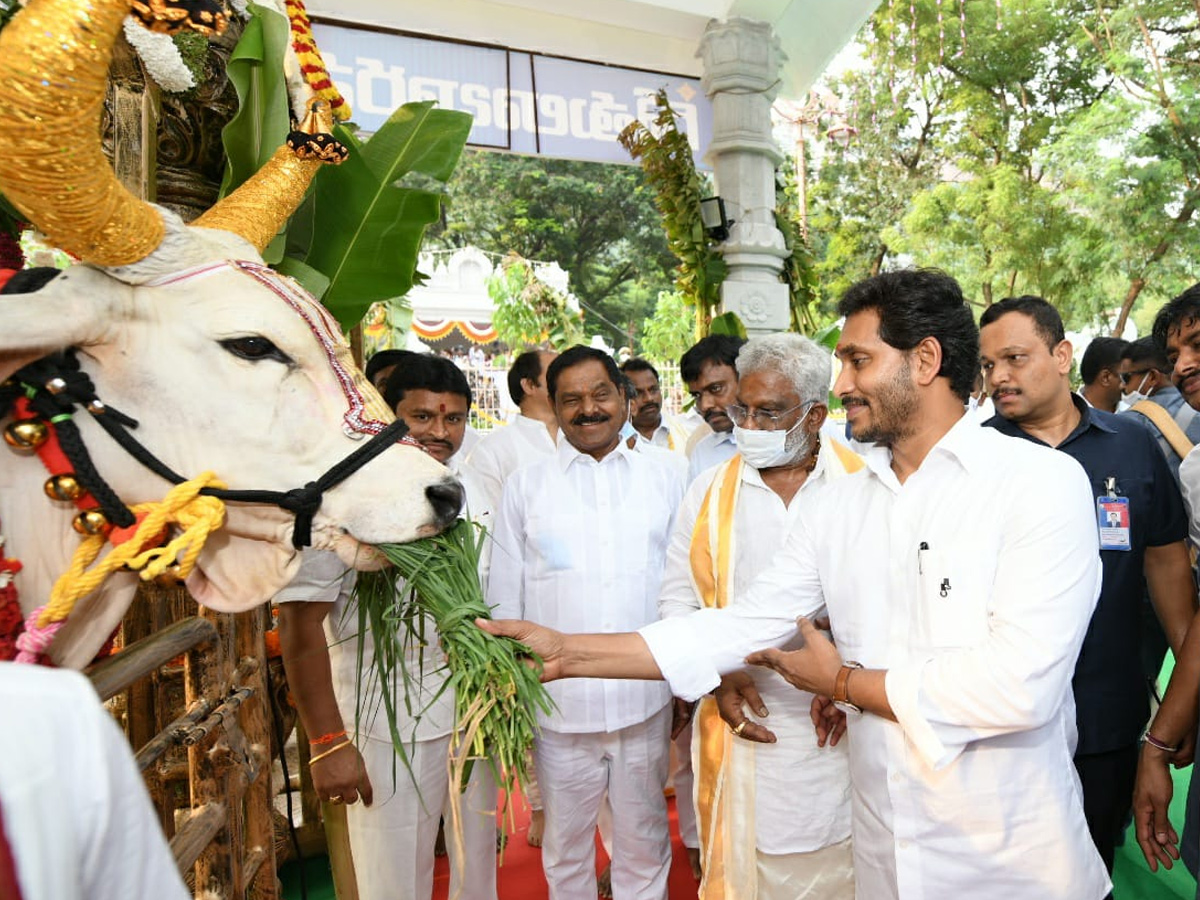 CM YS Jagan Mohan Reddy Visit Tirumala Temple Photo Gallery - Sakshi7