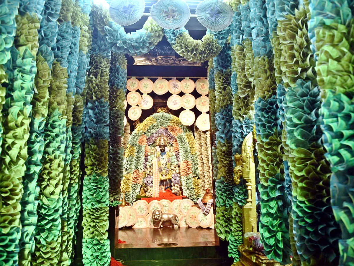 Nellore Srivasavi Kanyakaparameshwari Decoration Photo Gallery - Sakshi5