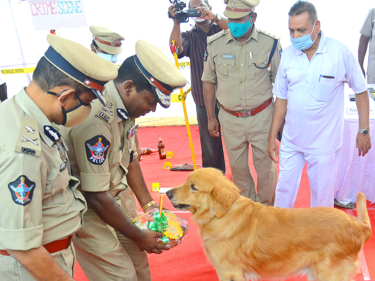 Andhra Pradesh Police Display Guns Other Weapons in Open House Exhibition - Sakshi14