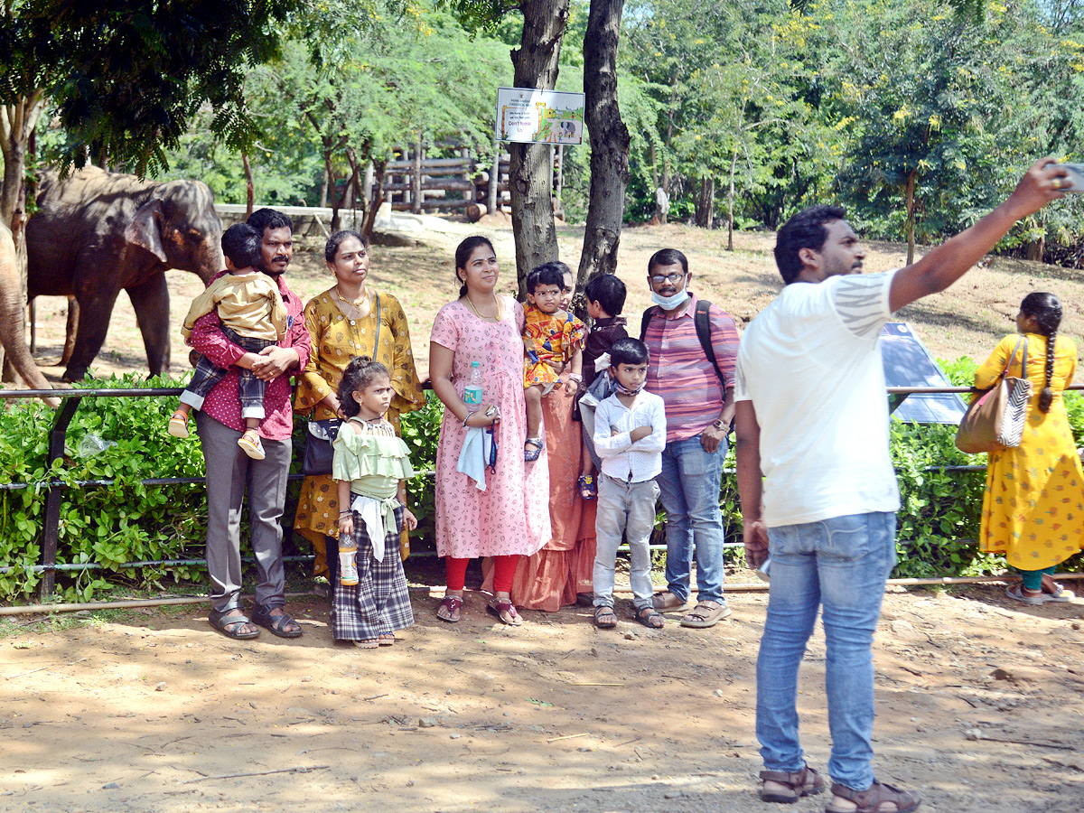 Photo : Indira Gandhi Zoological Park In Visakhapatnam   - Sakshi5