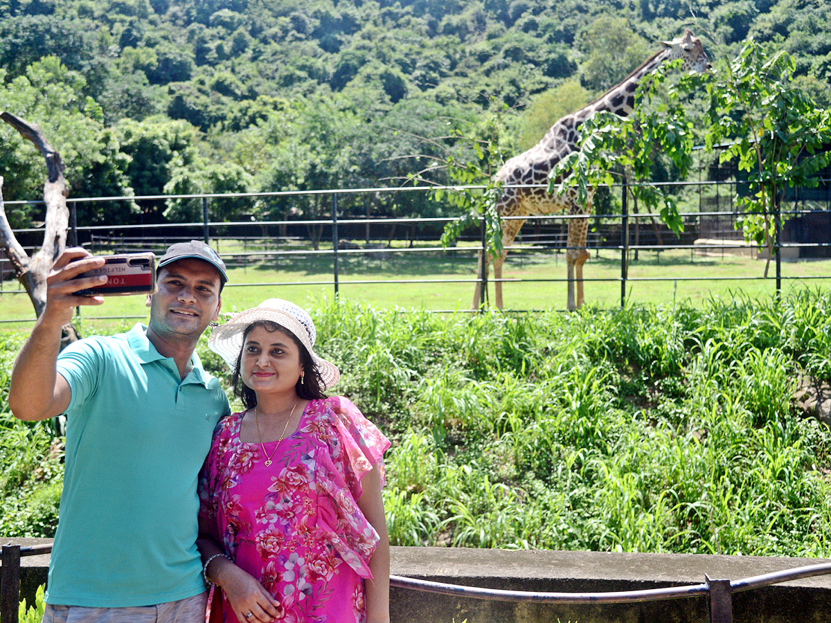 Photo : Indira Gandhi Zoological Park In Visakhapatnam   - Sakshi1