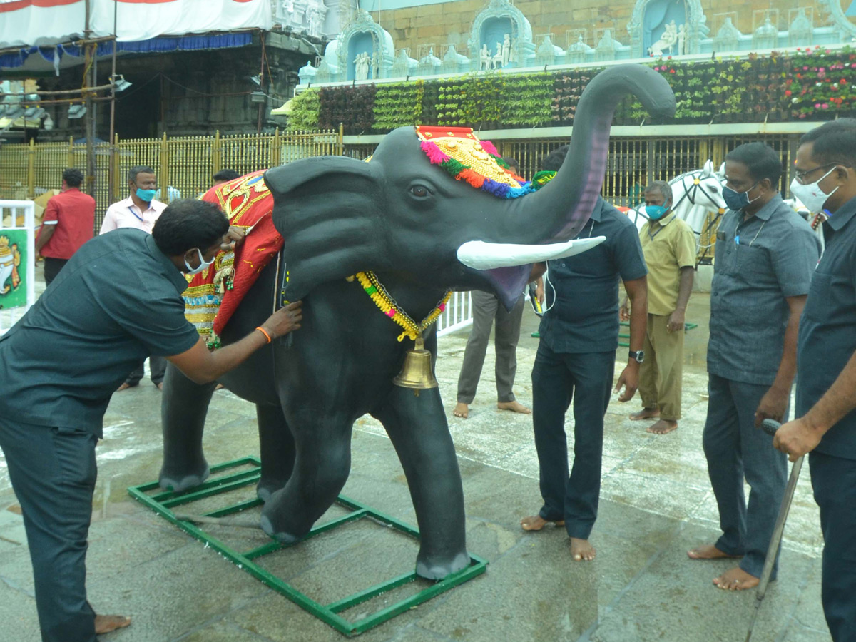 Photos : Tirumala Salakatla Brahmotsavam - Sakshi18