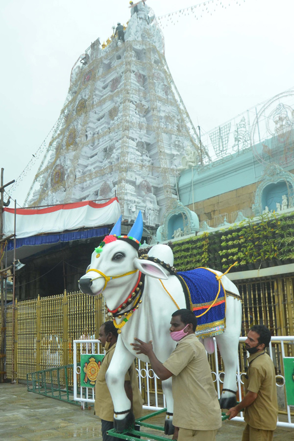 Photos : Tirumala Salakatla Brahmotsavam - Sakshi10